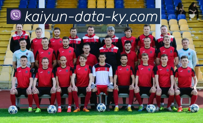 开云平台生态图